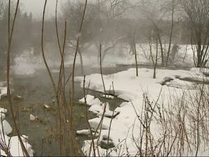 Несколько дней назад в редакцию Раменского телевидения…
