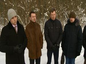 Деревья живут своей жизнью – как бы странно это ни…