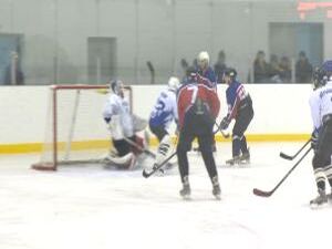 20 февраля на Ледовой арене дворца спорта…