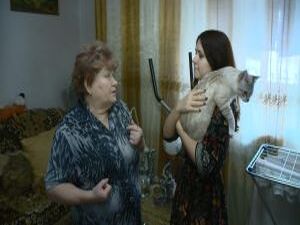 1 марта отмечается международный День кошек. И в честь…