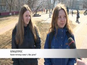 Блицопрос «Какие питомы живут у вас дома?»