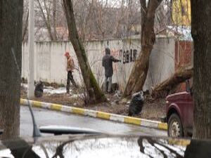 В наших выпусках новостей мы неоднократно показывали…