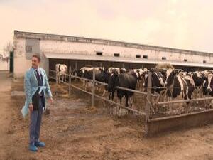 Сельское хозяйство  — основа для развития всей экономики…