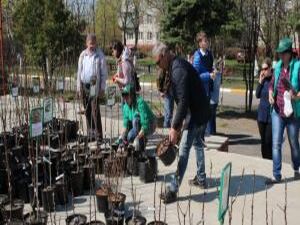 30 апреля в питомниках Подмосковья прошла акция «Купи…