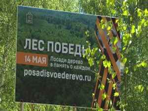 Свой небольшой «Лес Победы» посадили жители домов на…