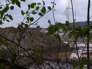 В студию Раменского телевидения обратился член…