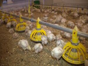 Сегодня представители администрации побывали на одном из…