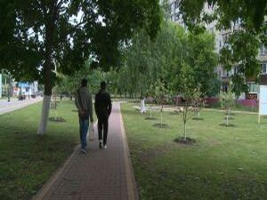 В этом году городское поселение Раменское приняло…