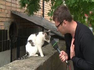 Следующий наш репортаж хочется представить с особой…