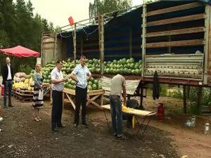 В Раменском районе продолжается борьба с незаконной…