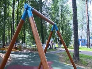 В Раменском городском парке есть уникальная площадка для…