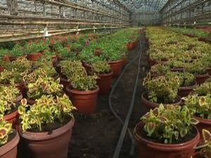 Целевой прием в ВуЗы и колледжи позволит решить кадровую…