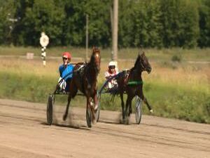 Лучшие наездники мира собрались в субботу в Раменском…