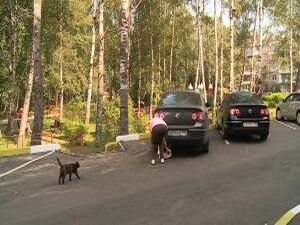 Отсутствие ремонта и время сделали свое дело, состояние…