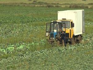 Офицер по профессии, фермер по призванию. Крестьянское…