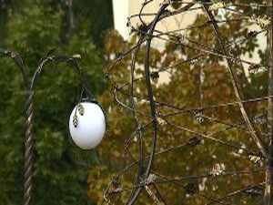 Погода позволяет сотрудникам Раменского ДРСУ активно…