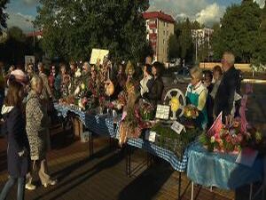 Феерия красок, созвучие цветов и синематика фантазии. В…