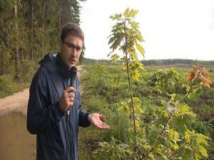 В продолжении темы акции «Посади свое дерево». Наша…