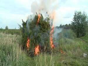 Сотрудники правоохранительных органов круглогодично…