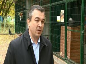 Ежегодно, 4 октября, во всем мире отмечают день защиты…