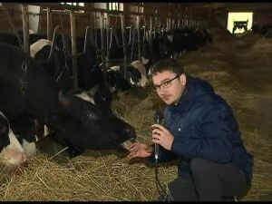 В продолжение темы «Братина» предлагаем вам сюжет нашей…