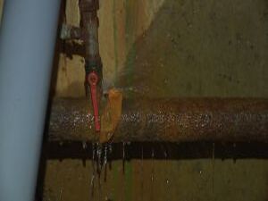 «Когда в товарищах согласья нет, на лад их дело не…