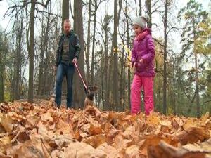 Ежедневно мы видим на улицах бездомных кошек и собак. А…