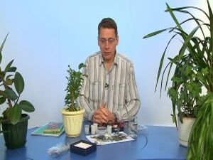 Ускорить рост комнатных растений возможно с помощью…