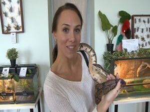 Геккон по имени Кекс, любимец посетителей попугай Бруня…