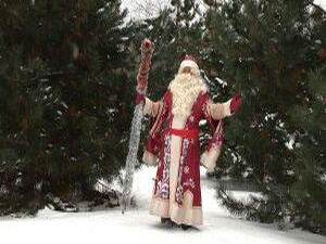 Нам стало известно, что сегодня в Раменском лесу будет…