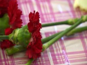 17 декабря в Раменском вспоминали участников локальных…