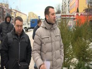 Елка — это не только традиция, хвоя и запах праздника…