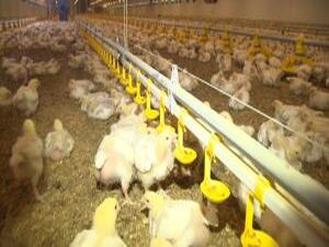 О том, какие изменения произошли на предприятиях…