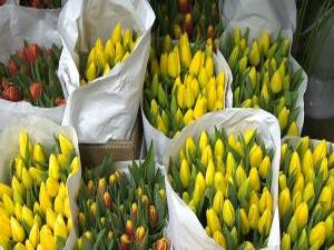 Мужчины, держитесь, 8 марта близко. В помощь вам в эти…