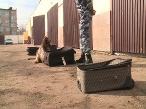 Этим летом Раменский кинологический центр отметит свой…