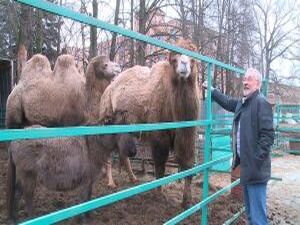 Краеведческий межбиблиотечный проект «Библиотур…