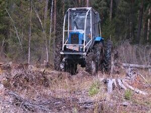 29 апреля в Подмосковье пройдет  акция Лес Победы…
