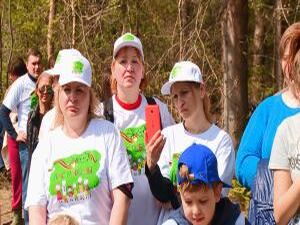 Миллион деревьев, лопаты, полевая кухня, хорошее…