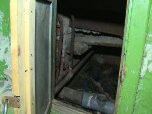 Весна. Светит долгожданное солнце, распускаются молодые…