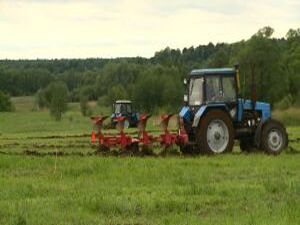 Старый конь борозды не портит, пашет как конь. Эти и…