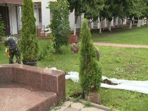 24 туи и 13 кленов высажено в минувшую субботу в рамках…