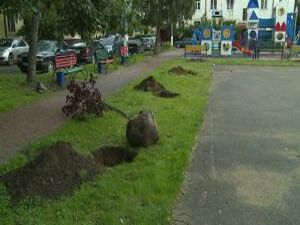 2017 год объявлен Президентом Российской Федерации как…