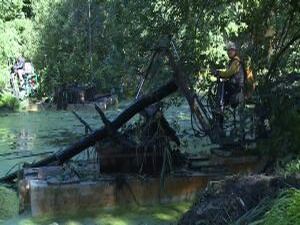 Перед  управлением по охране окружающей среды и…