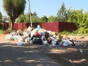 В Подмосковье продолжается борьба за чистоту региона…