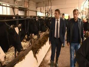 В Раменском районе появилась тенденция по восстановлению…