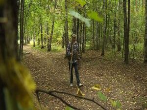 Грибной сезон в самом разгаре и все любители «тихой…