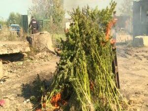 В Рамках профилактической ежегодной операции «Мак»,   на…