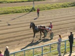 В минувшую субботу на Раменском ипподроме прошли…