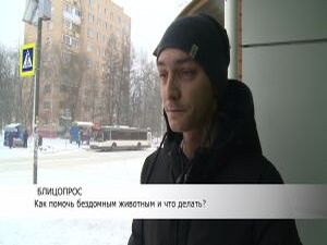 В продолжении темы бездомных животных рубрика «Блицопрос».
