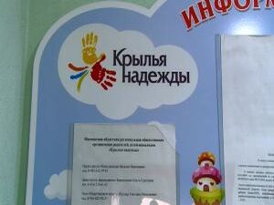 Стартовал прием заявок на соискание ежегодных премий…